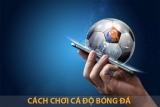 API trò chơi bóng đá giải pháp cá cược cho người chơi tại nhà cái OXBET88