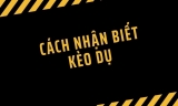 Cách nhận biết kèo dụ chuẩn xác không phải ai cũng rõ