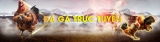 Theo dõi đá gà trực tiếp Thomo tại OXBET88 online.
