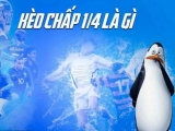 Kèo 1/4 là gì? Bật mí những bí quyết soi kèo từ cao thủ