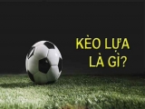 Kèo lựa là gì – Giới thiệu kèo lựa chi tiết và đầy đủ nhất