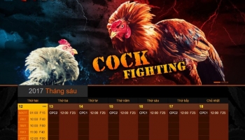 SV388 – Top những ưu điểm chỉ có tại nhà cái đá gà sv388